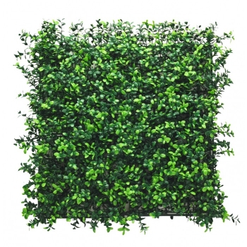 BOXWOOD ZELENÝ PANEL